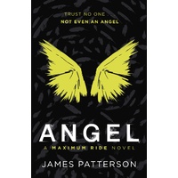 Angel: A Maximum Ride Novel (Maximum Ride 7)
