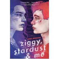 Ziggy, Stardust and Me