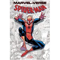 Marvel-Verse: Spider-Man