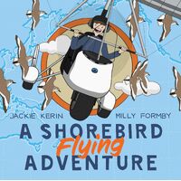 A Shorebird Flying Adventure