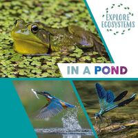 Explore Ecosystems: In a Pond