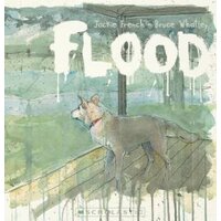  Flood