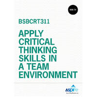 Apply critical thinking skills in a team environment