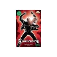 Frankenstein The Graphic Novel