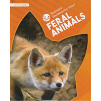 Australia's Environmental Issues: Feral Animals