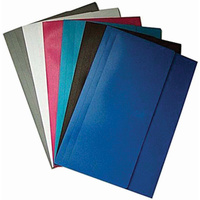 Polywally Wallet Foolscap 328F Assorted